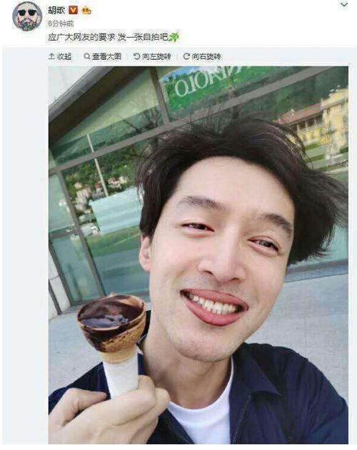 明星看黑点,揭秘明星黑点背后的故事